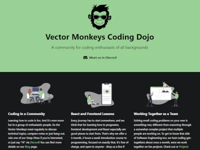 Screenshot from Vector Monkeys Coding Dojo website